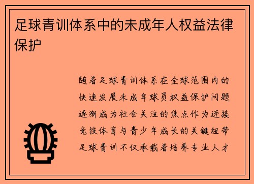 足球青训体系中的未成年人权益法律保护