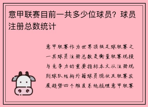 意甲联赛目前一共多少位球员？球员注册总数统计